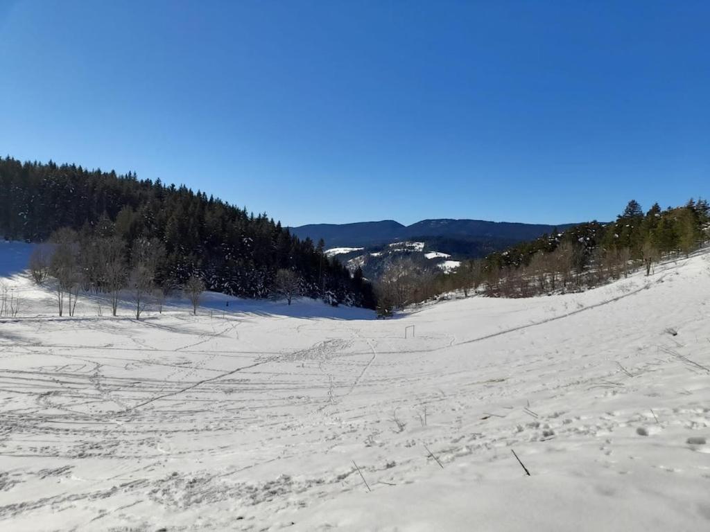 Les Glovettes Villard De Lans エクステリア 写真